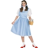 Dorothy Adult - Wizard Of Oz - Plus Size Adult Costume