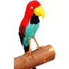 Multi-Color Feather Parrot Prop