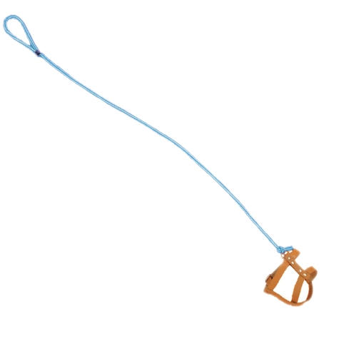 Invisible dog leash toy online