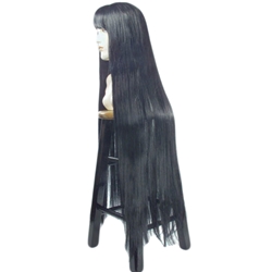 1960's Cher Deluxe Adult Wig With Bangs