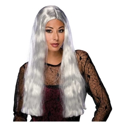 Long Gray Witch Wig