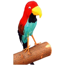 Multi-Color Feather Parrot Prop