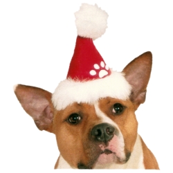 pet santa hat pet santa hat