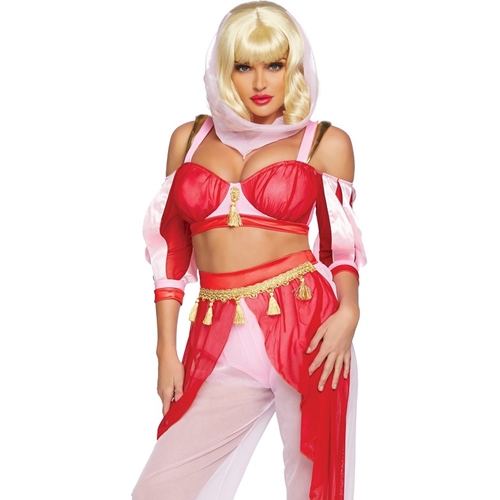 Dreamy Genie Sexy Adult Costume