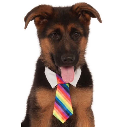Pet Rainbow Tie Costume