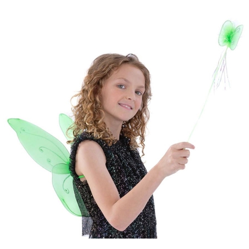 Green Butterfly Fairy Wing and Wand Set