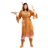 Native American Maid Adult Plus Size Costume