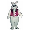 Peter Rabbit Mascot - Rental