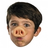Pig Animal Nose