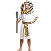 Egyptian King Pharaoh Adult Costume