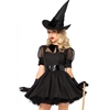 Bewitching Witch Sexy Adult Costume
