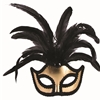 Gold Half Mask with Feathers