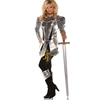 A Knight to Remember Adult Costume