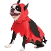 Devil Pup Poncho