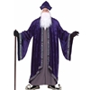 Wizard Plus Size Adult Costume