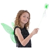 Green Butterfly Fairy Wing and Wand Set