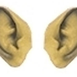 Pointed Ears - Beige