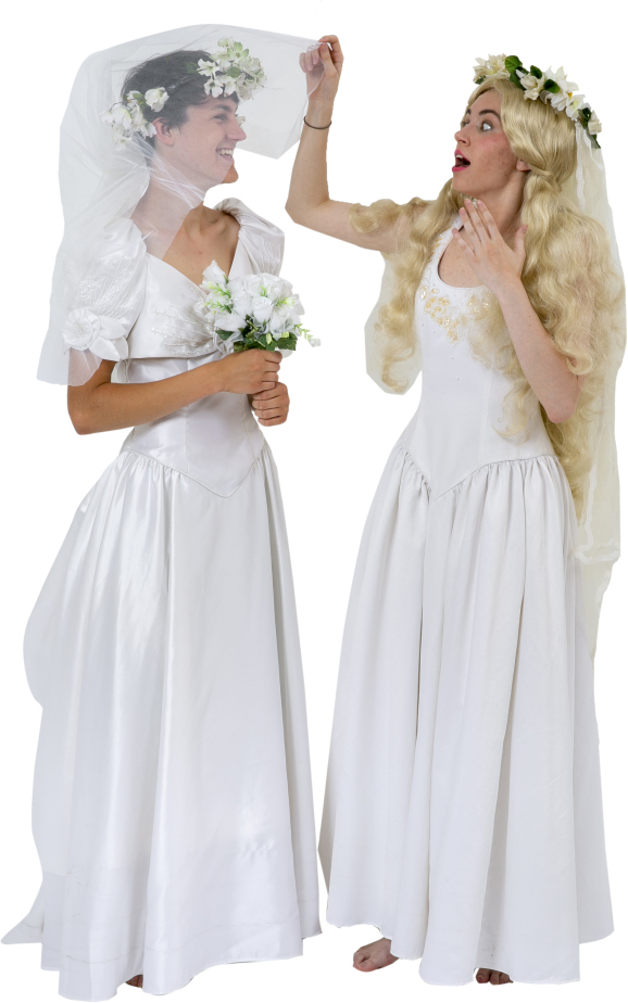 Mamma Mia Sky and Sophie Wedding Dresses Rental Costumes
