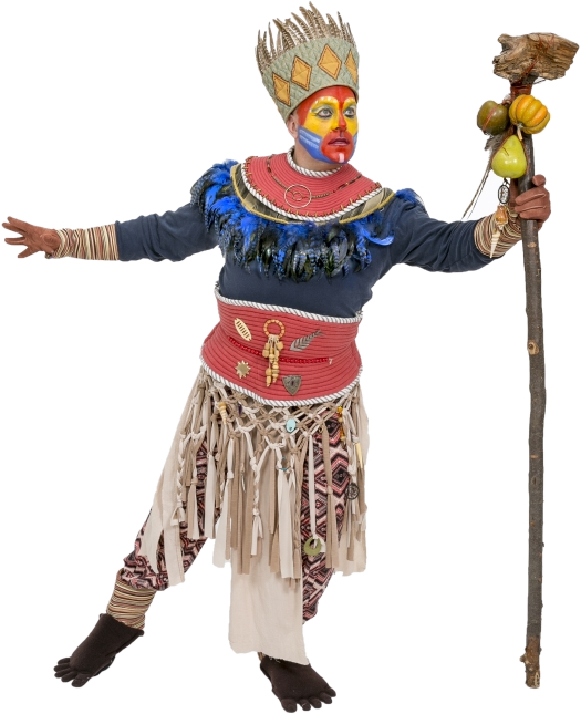 Rental Costumes for The Lion King - Rafiki