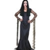 The Costumer has the Addams Family Costumes that you are looking for as well as Makeup, Accessories, and Props