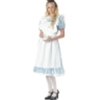 Shop Costumes, Accessories, Makeup, Wigs and Props for the Show and Musical Alice in Wonderland