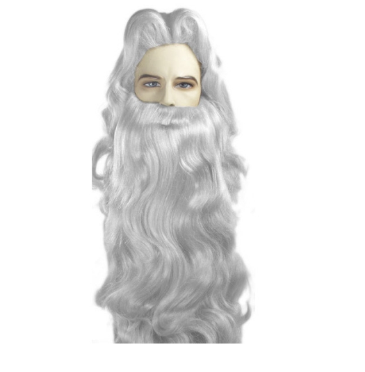 Deluxe Wizard Wig and Beard Set | The Costumer