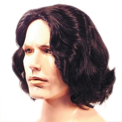 Beethoven Wig