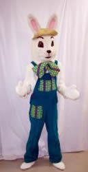 Boy Bunny Mascot - Rental