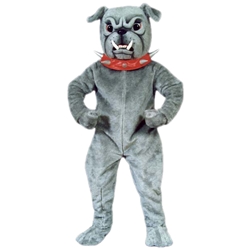 Bull Dog With Collar Mascot - Sales