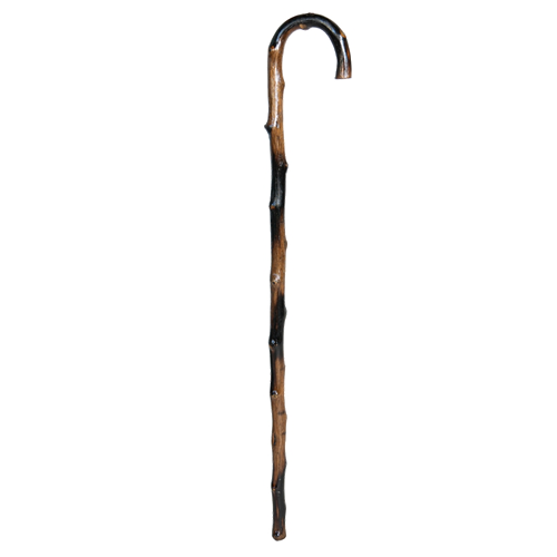 Deluxe Bamboo Cane