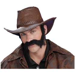 Civil War General Beard