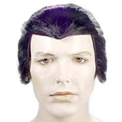 Count Dracula Vampire Wig