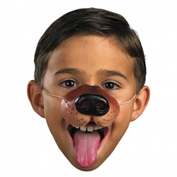 Dog Animal Nose