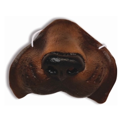 Dog Animal Nose