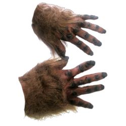 Hairy Hands