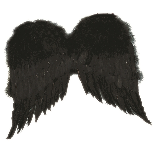 Huge Feather Wings