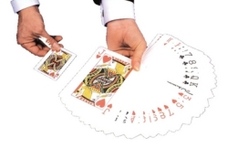 Jumbo Bicycle Cards