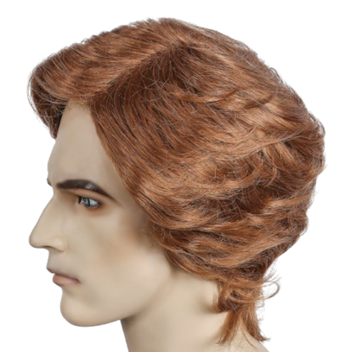 Long Men's Wig