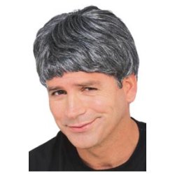 Men's Short Wig