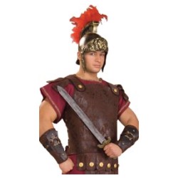 Roman Chest Cover