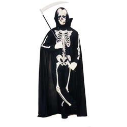 Skeleton Adult Costume