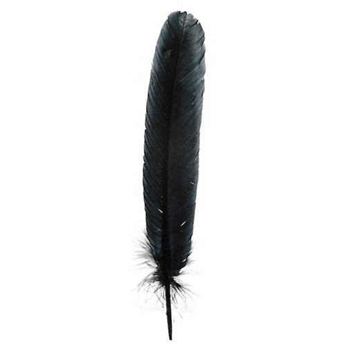 Turkey Quill Feather