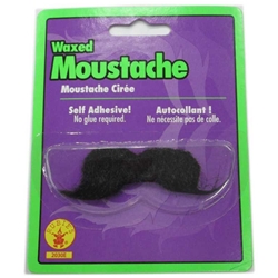 Waxed Hair Moustache