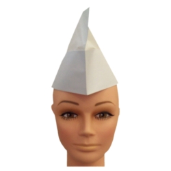 White Paper Hat