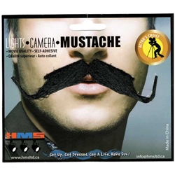 Aristocrat Moustache