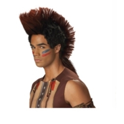 Native American Indian Warrior Wig