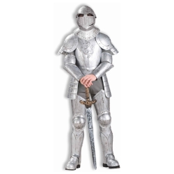 Knight in Shining Armor Adult Costume