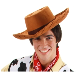 Deluxe Toy Story Woody Hat