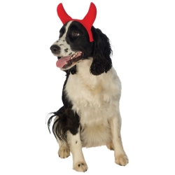 Pet Devil Horns