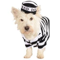 Pet Prisoner Costume